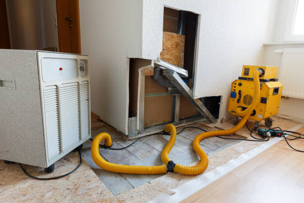 Mold Remediation for Rental Properties in Greenfield, OH